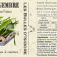 Sirop de Gingembre bio et 100% français 50cl - Les Bulles d'Isidore